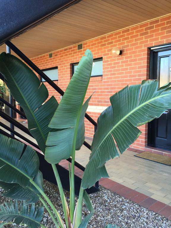 Caledonian Hotel Motel Echuca Δωμάτιο φωτογραφία